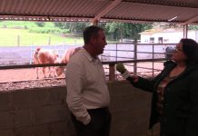 Entrevista a Gerardo Noval, responsable del Centro de Testaje de Aseava