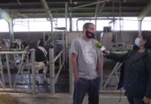 Entrevista a Pedro Suárez, Ganadería Cegarito S.C.