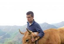 Una sentencia ratifica al Ayuntamiento somedano por una licencia de pastos en Valle de Lago