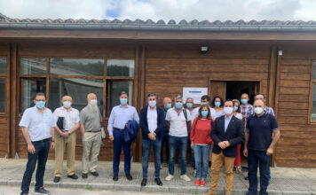 La campaña contra la avispa asiática, que coordina el Principado, duplica sus efectivos