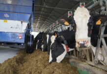 Posible acuerdo sobre la PAC en octubre