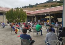 Cangas del Narcea concentra cerca de 600 hectáreas en Villar de Adralés, Adralés, Carballedo y Amago