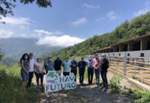 La ganadería de vacuno asturiana, unida por el futuro del sector