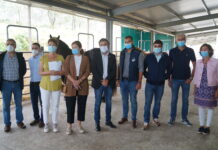 Asturias revaloriza el equino de aptitud cárnica