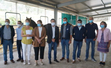 Asturias revaloriza el equino de aptitud cárnica