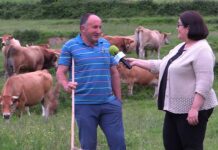 Eloy Rozada de Ganadería Llosa / El Collau de Porrúa