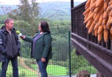 Entrevista a José Francisco Pérez Peláez de BosQfrut