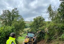El Ayuntamiento de Tineo desbroza 57 kilómetros de caminos de 5 concentraciones parcelarias