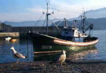 El Gobierno aprueba 30 millones de euros para financiar la paralización de la flota pesquera por la COVID-19