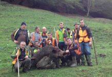 Adelanto de la temporada de caza de jabalí y a partir de hoy se permiten batidas en los cotos regionales