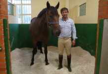 Manuel Movellán de Yeguada El Pomar: “DOLOFOS funciona de forma excepcional en la cama de los caballos”
