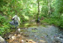 Tineo fomenta iniciativas voluntarias para la limpieza de residuos en espacios naturales