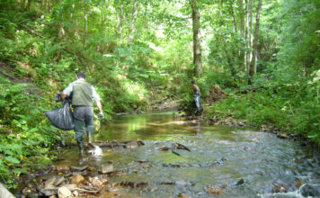 Tineo fomenta iniciativas voluntarias para la limpieza de residuos en espacios naturales