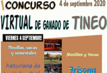 Tineo celebrará su concurso de ganado de forma virtual