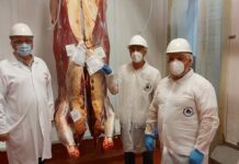 El Vacuno Mayor Asturiano pone rumbo a Arabia Saudí