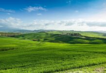 La aplicación del ‘Pago Verde’ propicia la mejora de la biodiversidad y el suelo