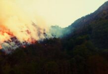 La estrategia integral contra incendios apuesta por la formación y la sensibilización