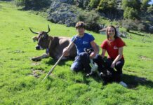 José Luis Alonso, pastor y quesero: “Ganadería y lobos son incompatibles, quien los quiera, que los mantenga”