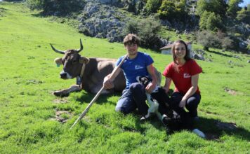 José Luis Alonso, pastor y quesero: “Ganadería y lobos son incompatibles, quien los quiera, que los mantenga”