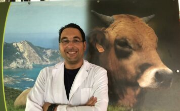 Sergio Blasco de Xata Roxa: “En Europa hay muchas razas cárnicas, pero ninguna como la nuestra”
