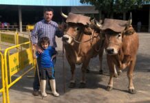 Daniel Berdasco de Benfer: “Hay que llevar Ternera Asturiana y Vacuno Mayor Asturiano fuera de nuestras fronteras”