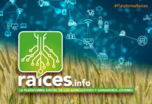 Raíces tecnológicas para asegurar el futuro del campo