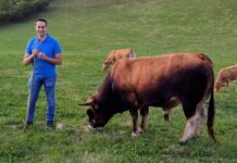 Andrés Vega de Hicor: “IGP es el escudo para el ganadero y para la distribución”