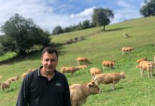 Vitoriastur: “Mientras haya unión de ganaderos, distribuidores y puntos de venta, habrá futuro”