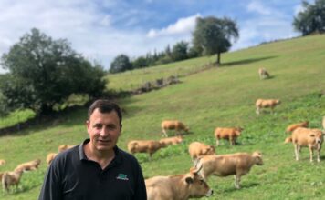 Vitoriastur: “Mientras haya unión de ganaderos, distribuidores y puntos de venta, habrá futuro”
