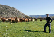 Una llamada a la acción desde los pueblos: «que la pandemia no sea la excusa para frenarnos»
