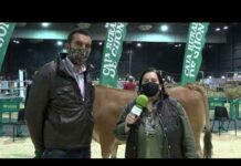 Entrevista a Sergio Marqués de Alimerka