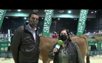 Entrevista a Sergio Marqués de Alimerka