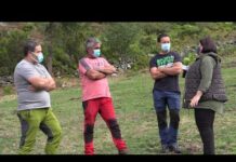 Los ganaderos siguen acusando los daños de las ratas topo en Cangas del Narcea