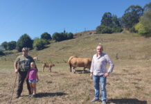 Francisco Vázquez: “Masymas es pionero en introducir razas autóctonas asturianas”