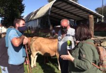 Los tratos ganaderos sustituyen el apretón de manos por el saludo de codos