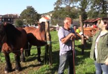 Entrevista a Francisco Lorences, ganadero de La Pereda (Tineo)