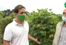 PROGRAMA 4. Mirando al Futuro, situación de la Faba Asturiana IGP