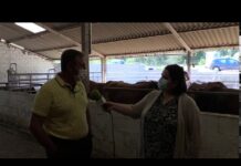 Entrevista a Gerardo Noval, responsable del Centro de Testaje de Aseava