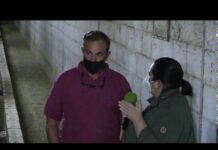 ASEAVA carga 430 pasteros para cebaderos nacionales