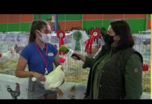 Entrevista a Eliana García en Agropec