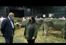 Entrevista a Gumersindo de la Riera, director técnico de ARAPAR