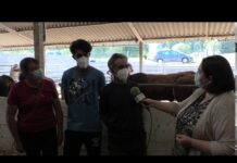 Entrevista a ganadero zamorano que pujará en la subasta virtual de ASEAVA