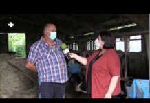 Entrevista a Benjamín Rodríguez Alonso, ganadero de Valloria (Salas)