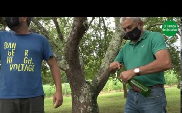 Visita a la pomarada Sovilla en Cesa (Nava)