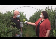 Entrevista a José Antonio García, propietario de Arándanos La Peña