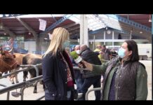 Entrevista a Ada Riesco, concejala de Ganadería de Cangas del Narcea