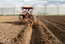 Ayudas a entidades asociativas agrarias para la mejora de las explotaciones