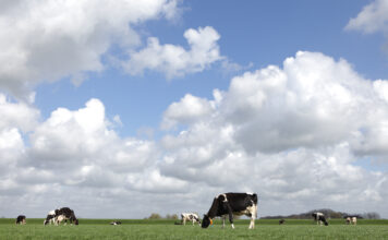 Delagro consigue la certificación ecológica de sus calizas magnesianas y lanza su PLAN MAGNICAL®