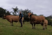 La venta directa como alternativa