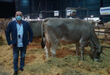 «La raza Parda también puede ofrecer buenas producciones»